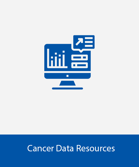 Icon of a Computer Screen Showing Data